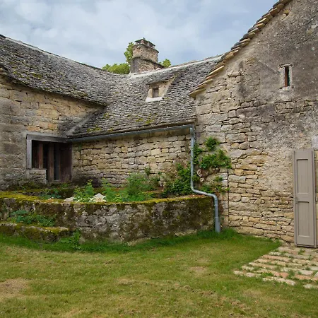 Domaine La Vigne Au Villard Jeune Chanac